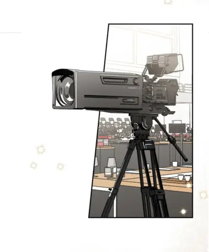 Professional video camera